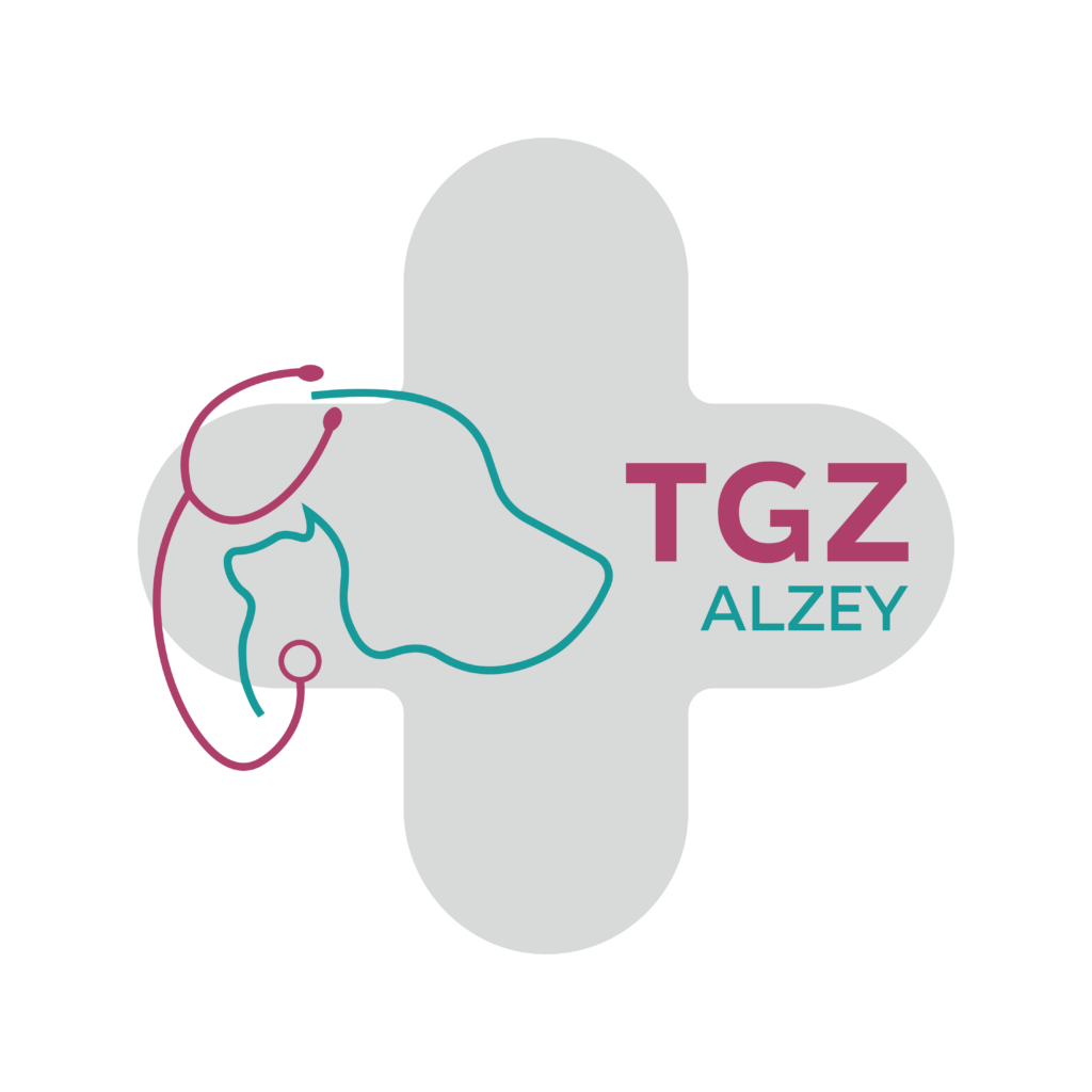 TGZ logo 2026